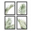 Ensemble de 4 feuilles de palmier vert du désert, ensemble de 4 reproductions murales encadrées-93012078-93012081