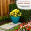 Jardinière ronde intérieure / extérieure-2129897085-2086173723
