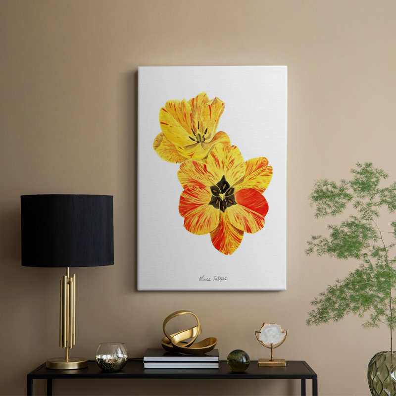 Olive tulipes I - galerie Cavas sur mesure, H 60 po x l 40 po