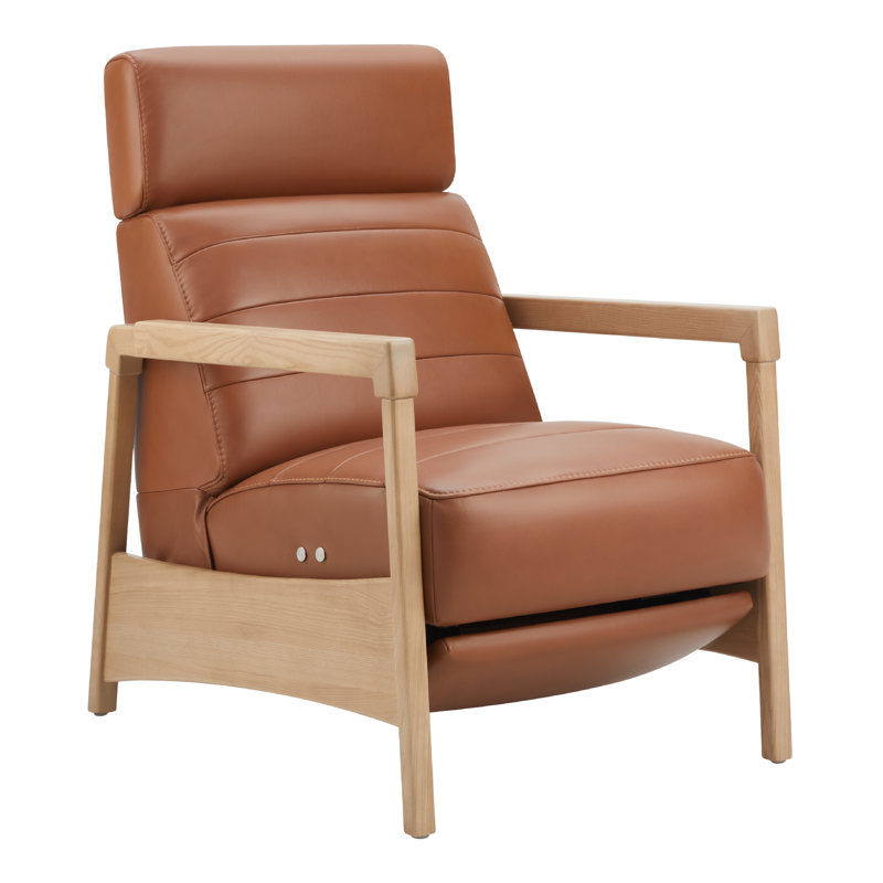 Darlington Amada 27.5" Wide Power Standard Recliner, Brown Genuine Leather, Beige
