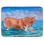 Tapis pour salle de bain en mousse à mémoire de forme corgi sea shell find