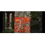Janniel 2 - Light Outdoor Chandelier