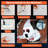 Halloween Decoration
