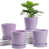 Purple is out of stock