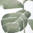 Uttermost Fiddle Head Leaf Botanical Prints Set/4