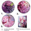Lilas Lilas Serenade I, reproduction d'art sur toile-271581188-271581211