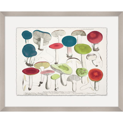 Modern Mushrooms 3 Print