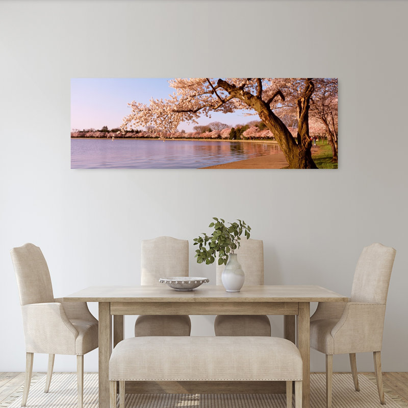 Cerisier en fleur le long d'un lac, parc Potomac, Washington DC, États-Unis, H 20 po x l 60 po