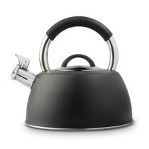 https://assets.wfcdn.com/im/43371604/resize-h210-w210%5Ecompr-r85/6132/61327987/Copeland+2.5+L+Stainless+Steel+Stovetop+Kettle.jpg