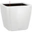 Quadro Premium Pot Planter-16493061-16493069