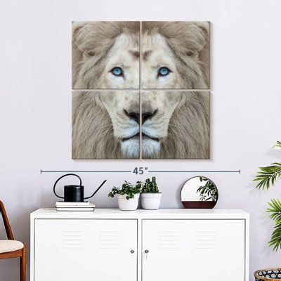 Lion exotique Brampt