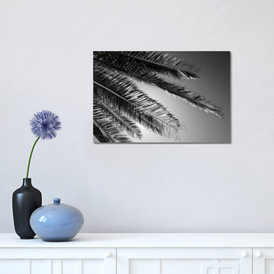 Palm 1 Piece Wrapped Canvas Wall Art