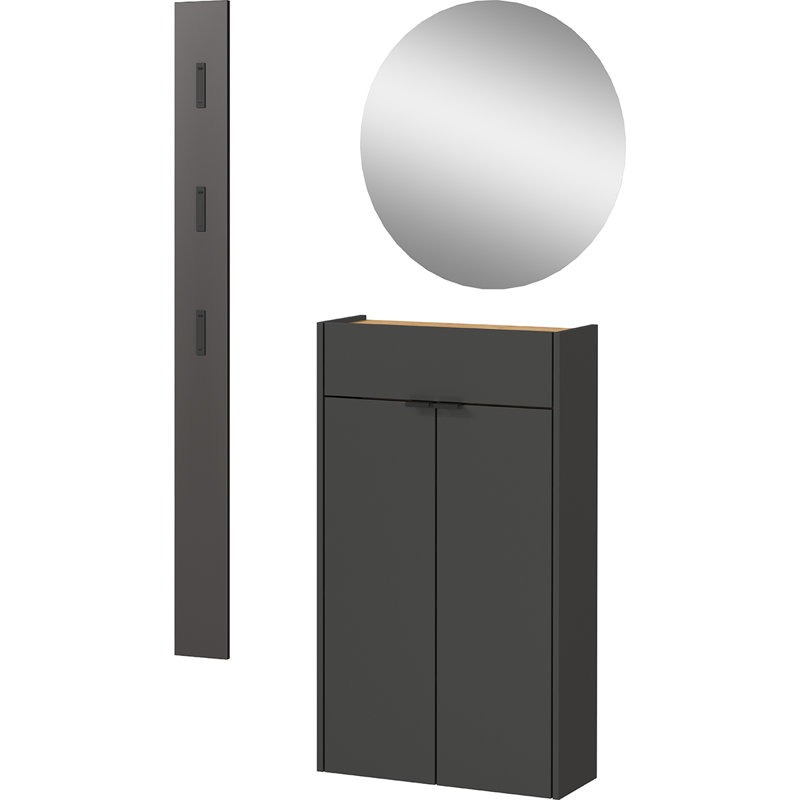 Koudia 12 Pair Shoe Storage Cabinet, Graphite