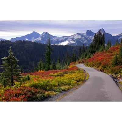 Rainier National Park - Wrapped Canvas Print