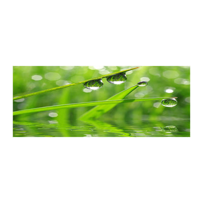 Drops on Canvas the Grass 1 Piece Wrapped Canvas Wall Art