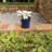 Pansy Ceramic Pot Planter-88134232