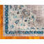 Oriental Area Rug-1681616386