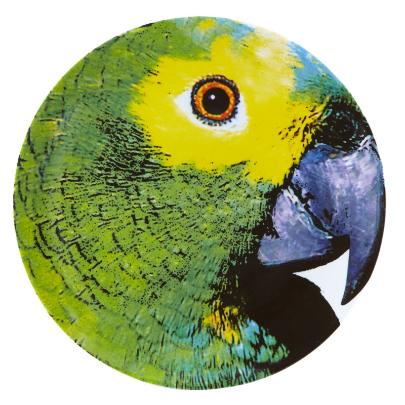 Olhar O Brasil Porcelain China Charger