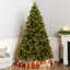 Carolina Flocked/Frosted Christmas Tree-1687330705