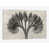 Toile tendue
