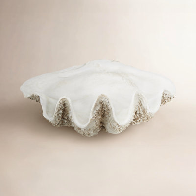 Polystone Textured Shell Sculpture