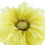  Coussin décoratif brodé réversible-591419120-785583679