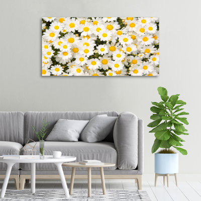 Daisies - No Frame Print on Canvas