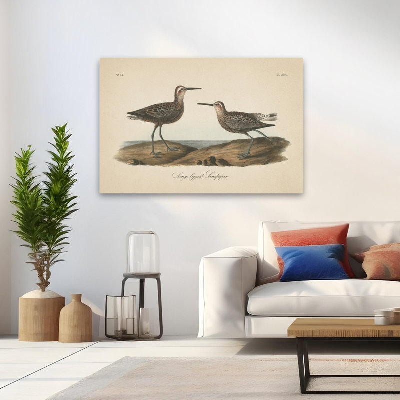 Bécasseau côtier et rétro à longues pattes, H 48 po x l 32 po
