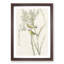 Prairie Warbler Birds by John Audubon - Picture Frame Painting Print-55601780-55601783