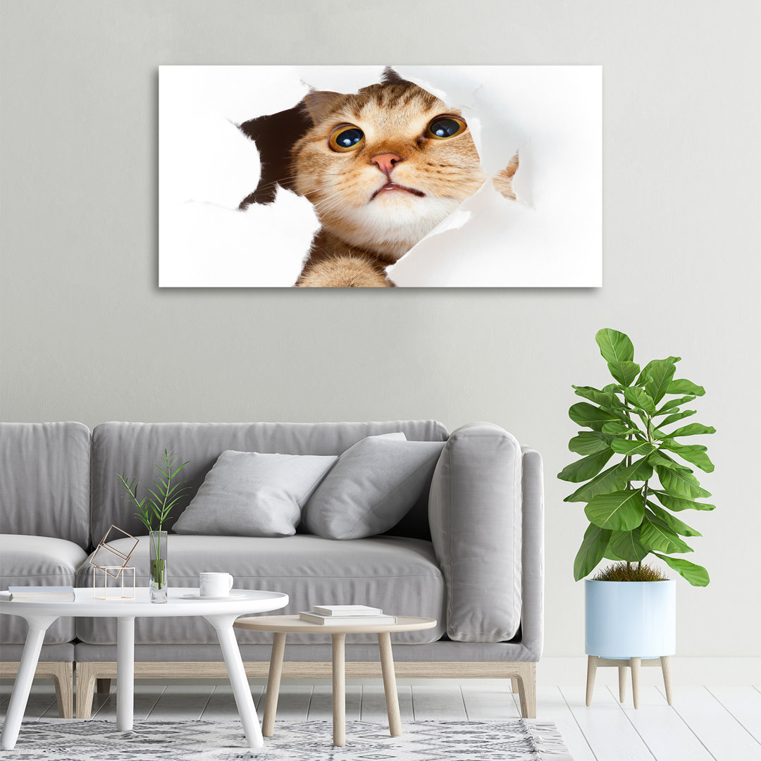 Cat in the Hole - Kunstdrucke auf Leinwand - Wrapped Canvas