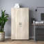 Bundella 2 -Door 3 -Shelf Storage Cabinet
