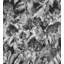 Hydrangea Garden-186166176-186166106