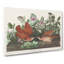Key-west Doves by John Audubon - Wrapped Canvas-55362866