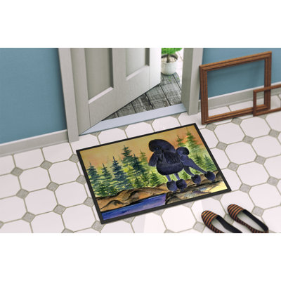 Tapis d'entrée Sud Sudville