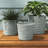 Ceramic Pot Planter