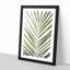 Plat Leaf - Picture Frame Graphic Art Print-56862926-56862930