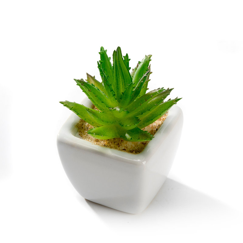 Mini plantes grasses artificielles en pots