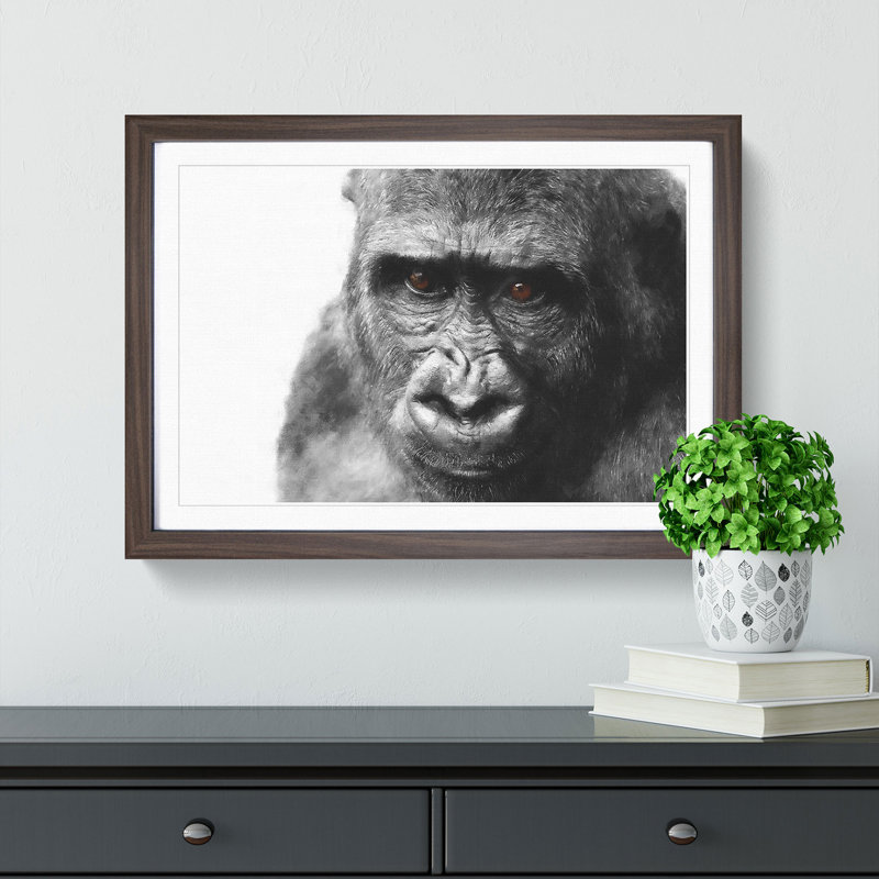 Gorilla with Brown Eyes - Picture Frame Graphic Art Print, 62cm H x 87cm W x 2cm D, Walnut Framed