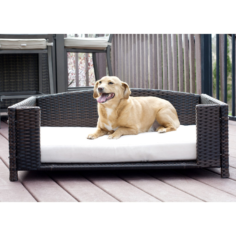 Canapé pour chien en rotin Cristobal, Moyen (l 35 po x P 23,5 po x H 12 po)