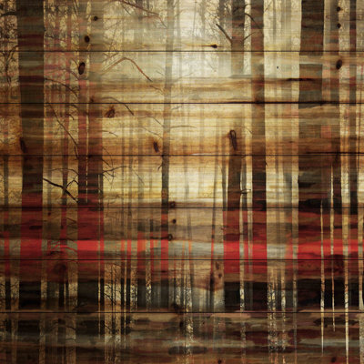« soleil light through the trunks », reproduction d’art sur bois
