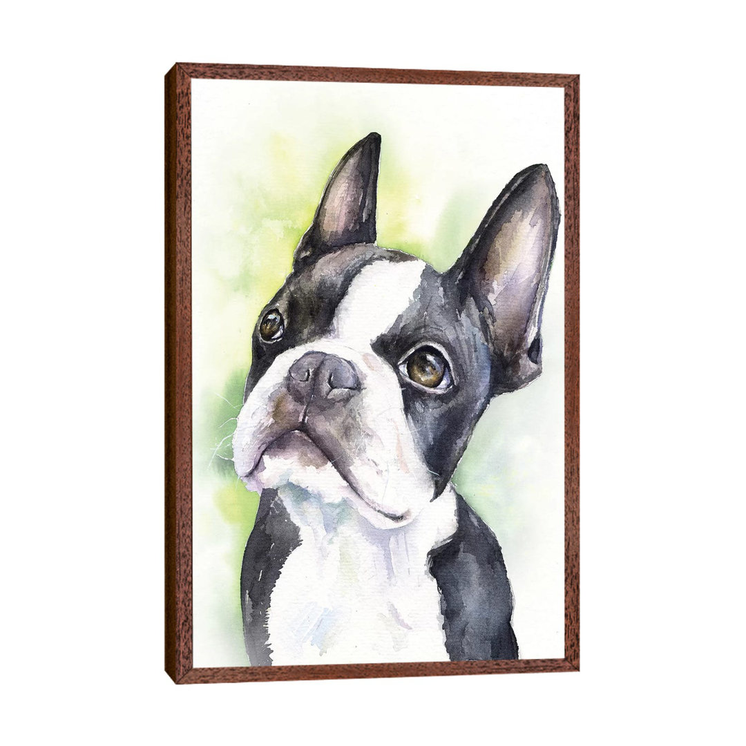 Boston Terrier Puppy by George Dyachenko - Floater Frame Painting on Canvas