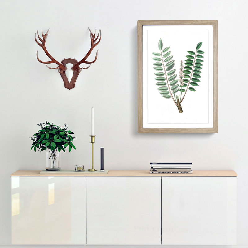 Indian Frankincense Flowers Illustration - Framed Print, 48cm H x 36cm W x 2cm D, Oak Framed