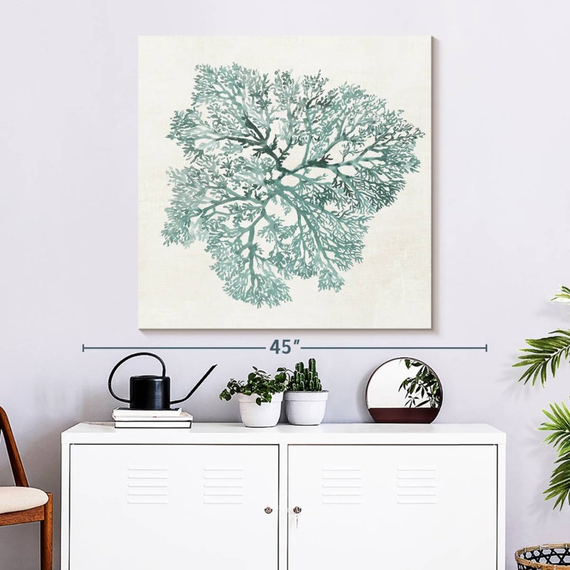 Corail Brampt sarcelle
