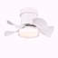 Ventilateur de plafond de 21 pouces avec 3 températures de couleur, lumière et télécommande, moteur à courant continu puissant et à faible bruit pour la cuisine, la salle à manger, la salle à manger, la salle de bain, la terrasse et le patio