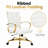 Naudain Leather Office Chair – Modern Executive Swivel Task Chair with Wheels, Adjustable Height & Padded Arms for Desk or Conference Room-132200685-53751974