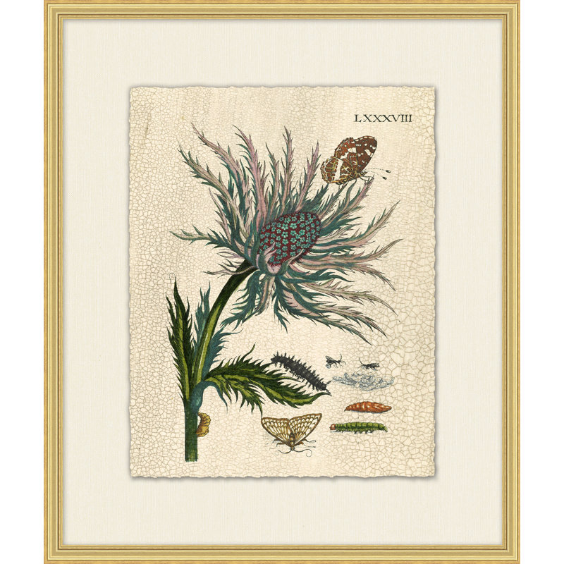 «Prevail Nature 2» - peinture encadrée