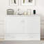 Bronsyn Solid Wood Storage Bed-566841237-566841239