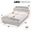 Lit orthopédique pour animaux Mid-Century-1953814889-1932509638