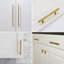 Goldenwarm 10" Round Bar Pull Multipack