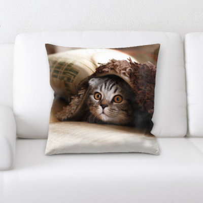 Microsuede Reversible Throw Pillow